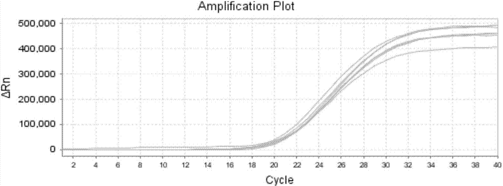 Detection kit and ARMS (amplification refractory mutation system)-QPCR (quantitative polymerase chain reaction) detection method for beta-mediterranean anemia beta17 (A-T) point mutation