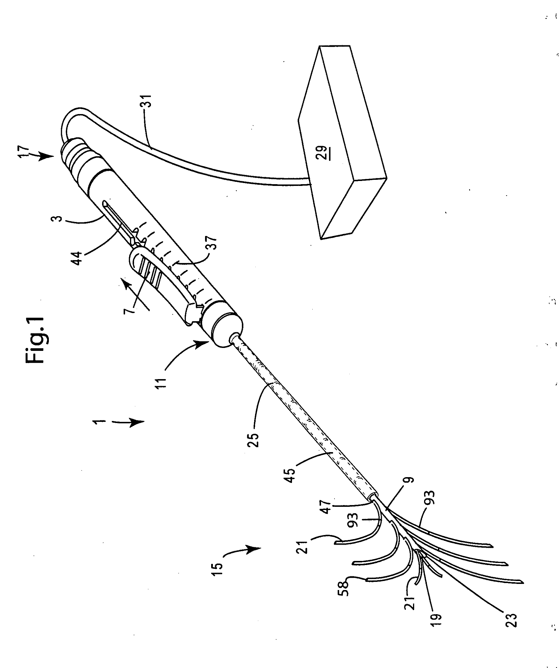Dual Bracketed Energy Delivery Probe and Method of Use