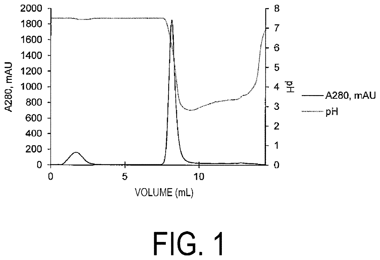 Solid-Phase Support Comprising IgG-Binding Peptide, and Method for Separating IgG