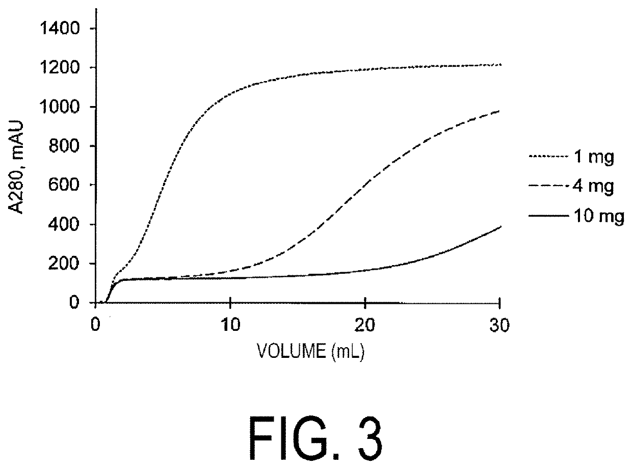 Solid-Phase Support Comprising IgG-Binding Peptide, and Method for Separating IgG