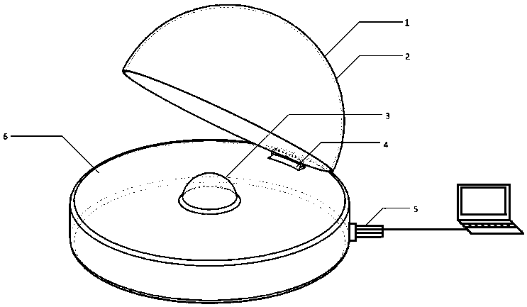 Device and method for measuring flight trajectory of flying insect without contact