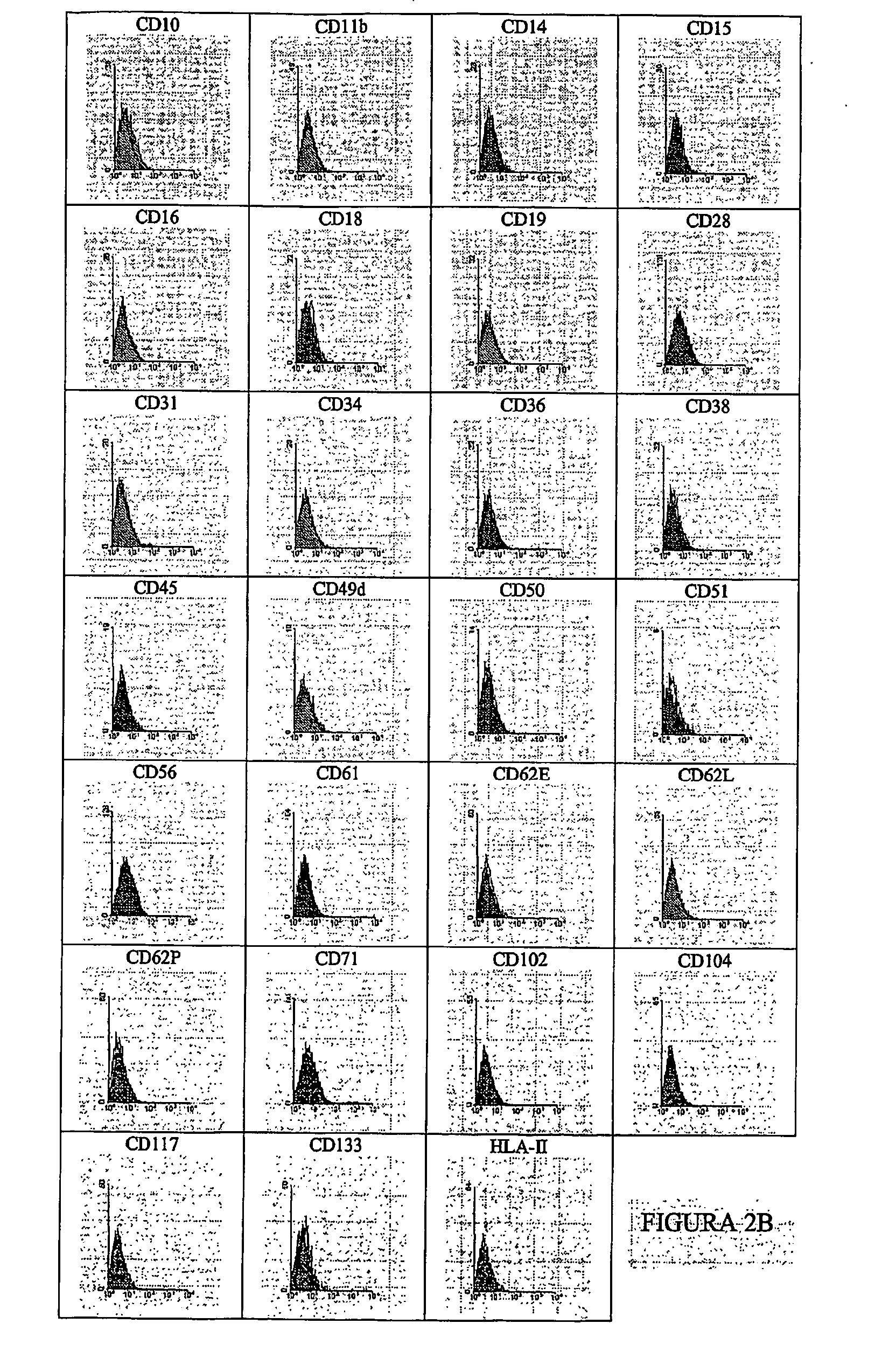 Cartilage-derived stem cells and applications thereof