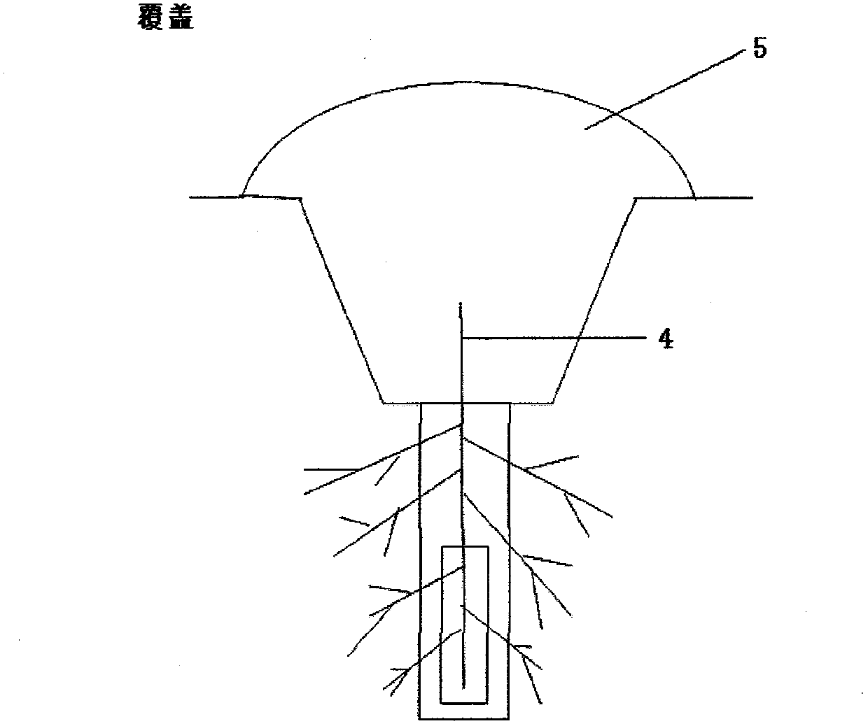 Short-rotation sprout forest drought-resistant anti-freezing cultivation and management method