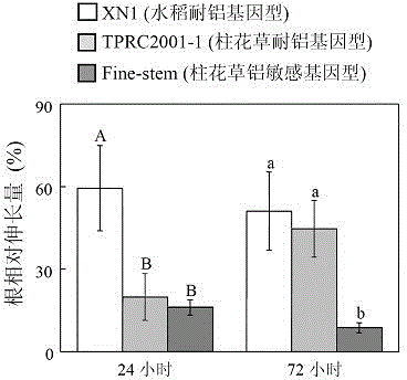 A kind of malic enzyme gene sgme1 and its application