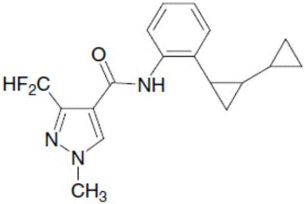 Composition containing sedaxane and Dichlobentiazox