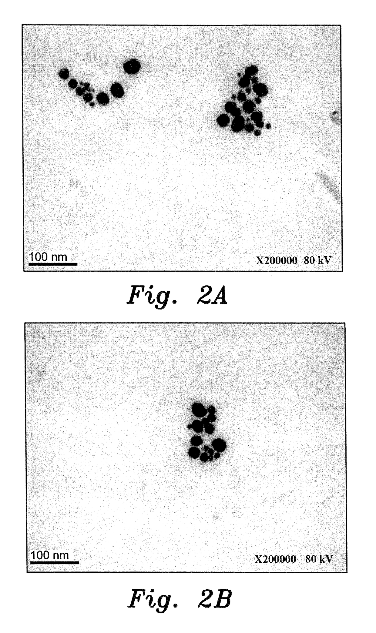 Method of treating diabetic wounds using biosynthesized nanoparticles