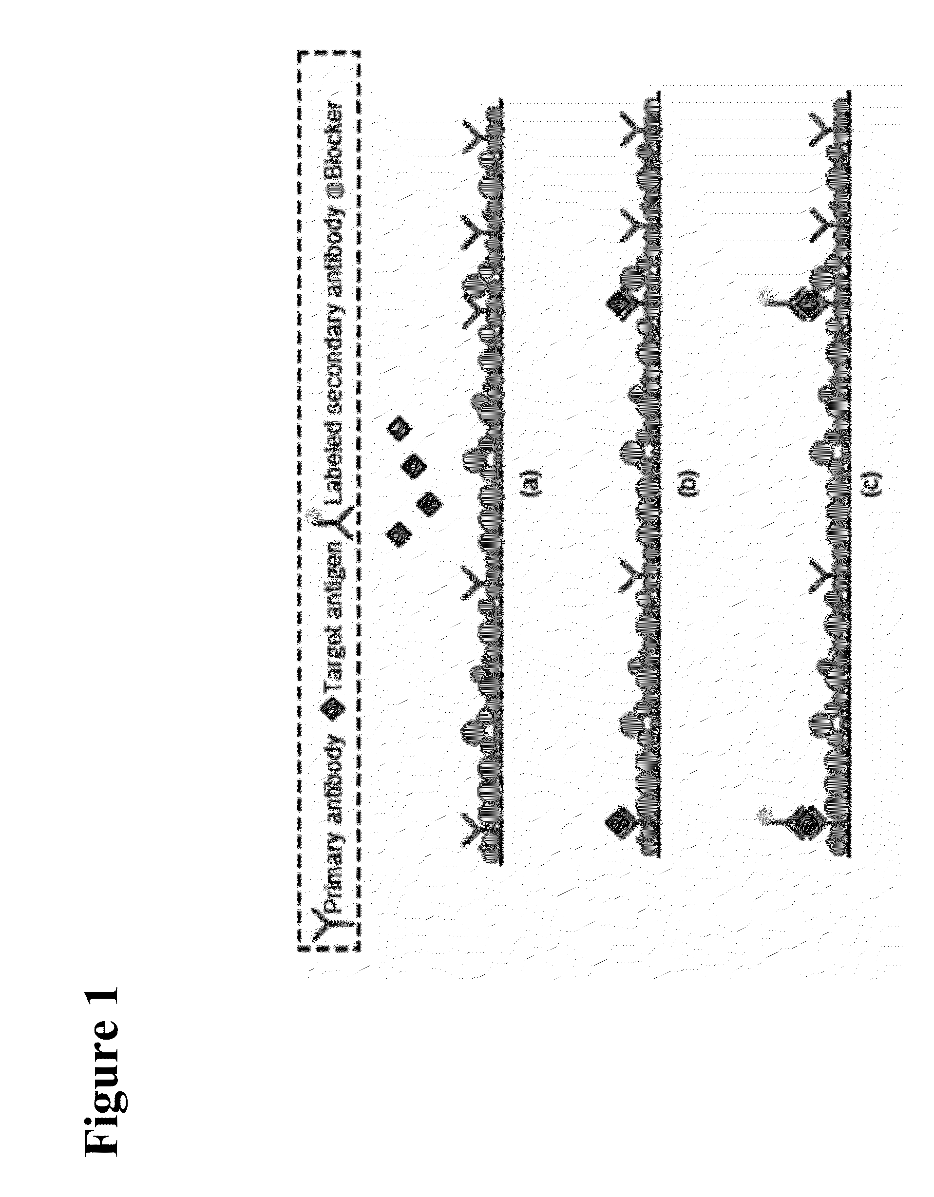 METHODS FOR GENERATING pH/IONIC CONCENTRATION GRADIENT NEAR ELECTRODE SURFACES FOR MODULATING BIOMOLECULAR INTERACTIONS, AND BUBBLE DETECTION USING ELECTRODES