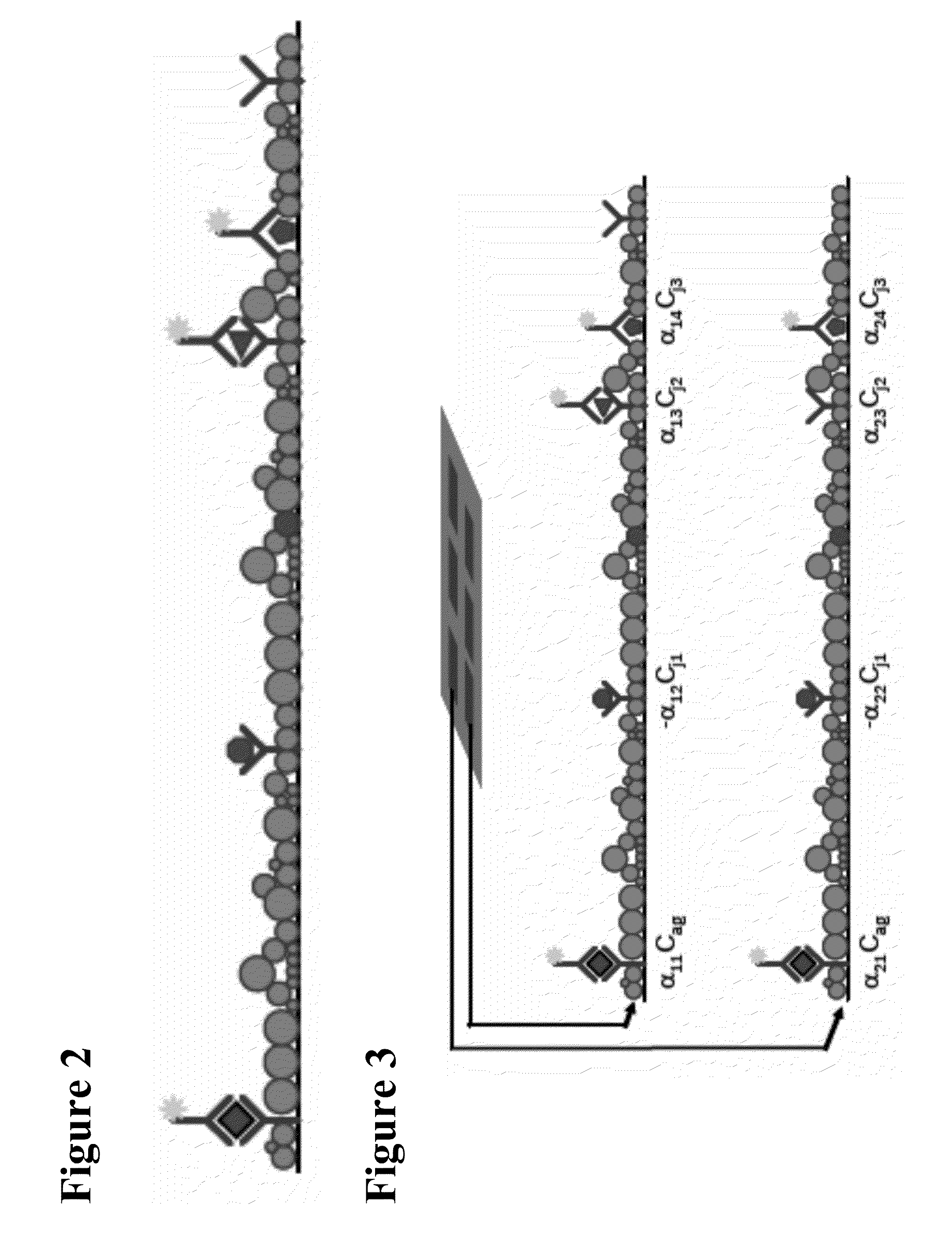 METHODS FOR GENERATING pH/IONIC CONCENTRATION GRADIENT NEAR ELECTRODE SURFACES FOR MODULATING BIOMOLECULAR INTERACTIONS, AND BUBBLE DETECTION USING ELECTRODES