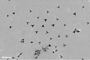 A method for the controllable synthesis of noble metal nanocatalysts using amino acids as soft templates