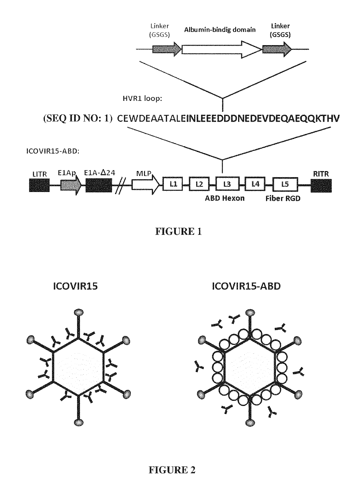 Adenovirus comprising an albumin-binding moiety