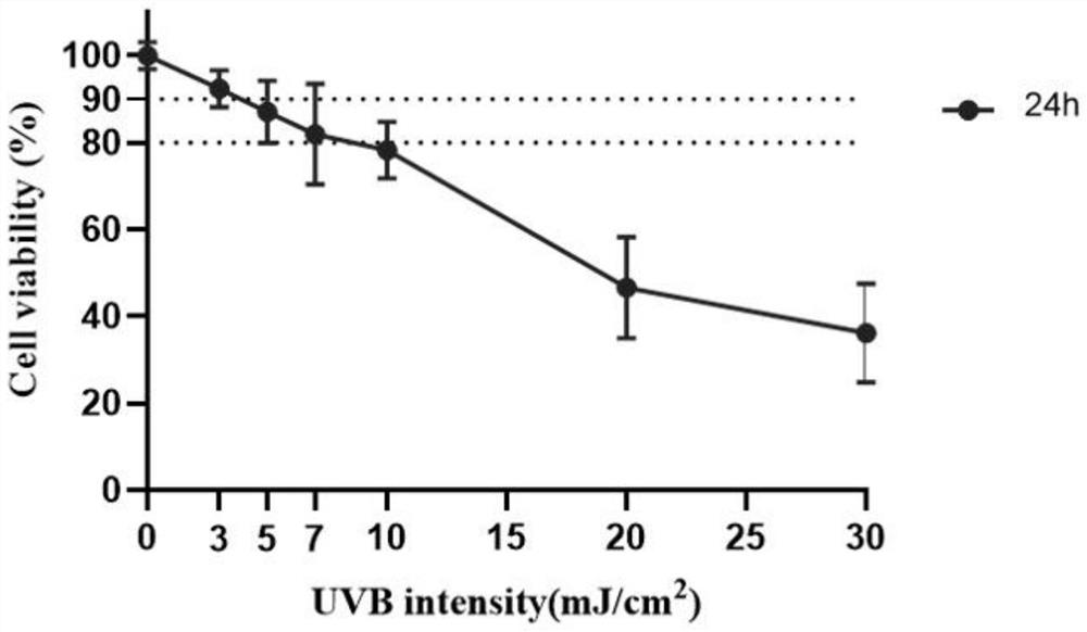 Application of eupatilin in preparation of product for resisting skin light injury