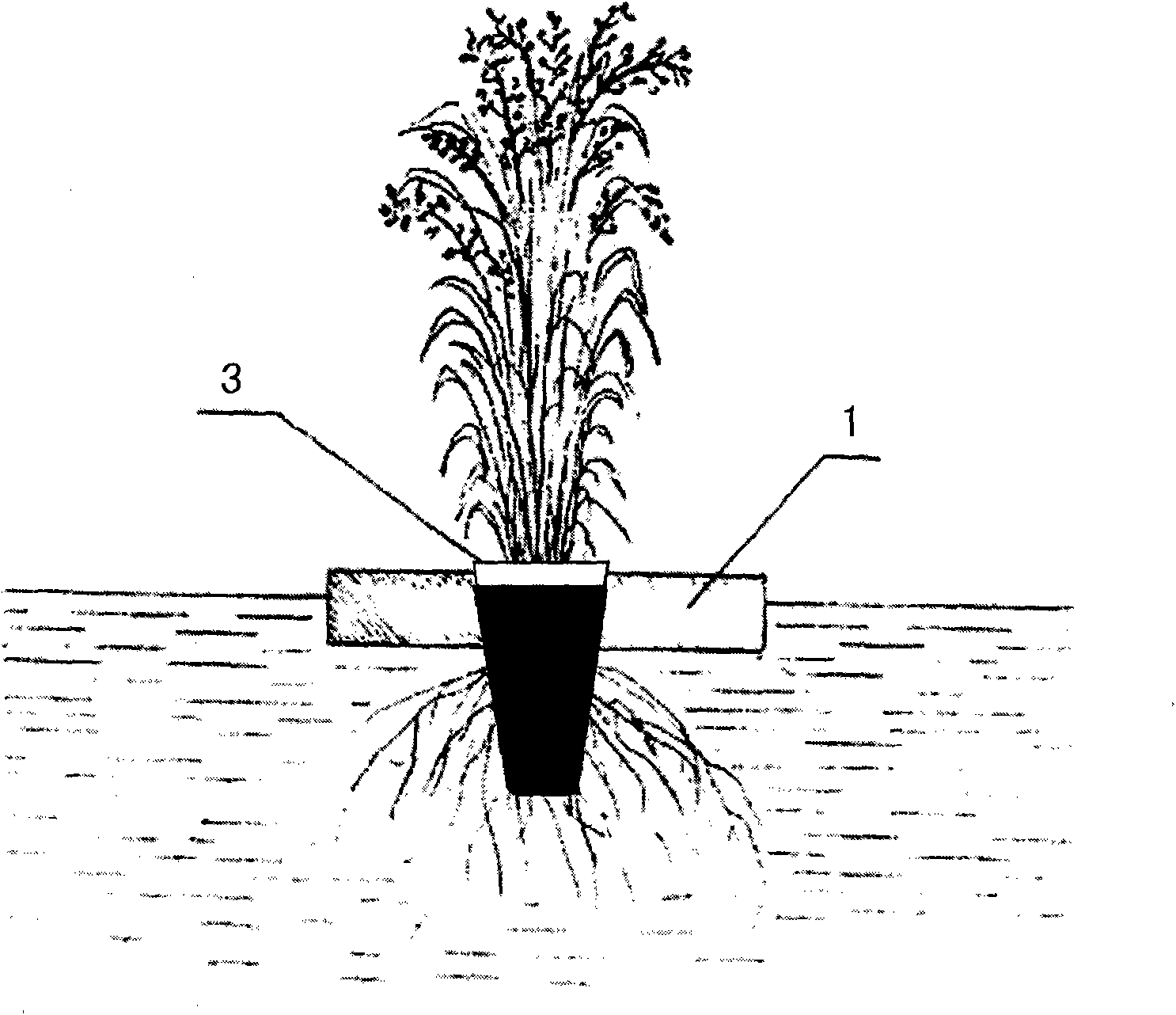 Water borne floating bed and rice planting method