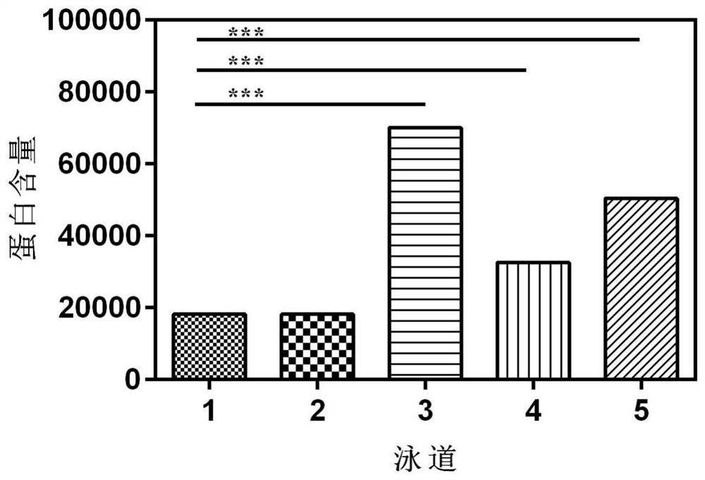 Application of leukotriene A4 hydrolase as lung cancer early marker