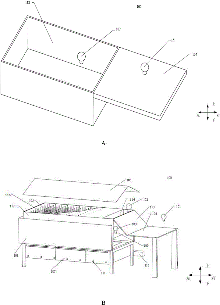 System and method for cultivating caterpillar fungus
