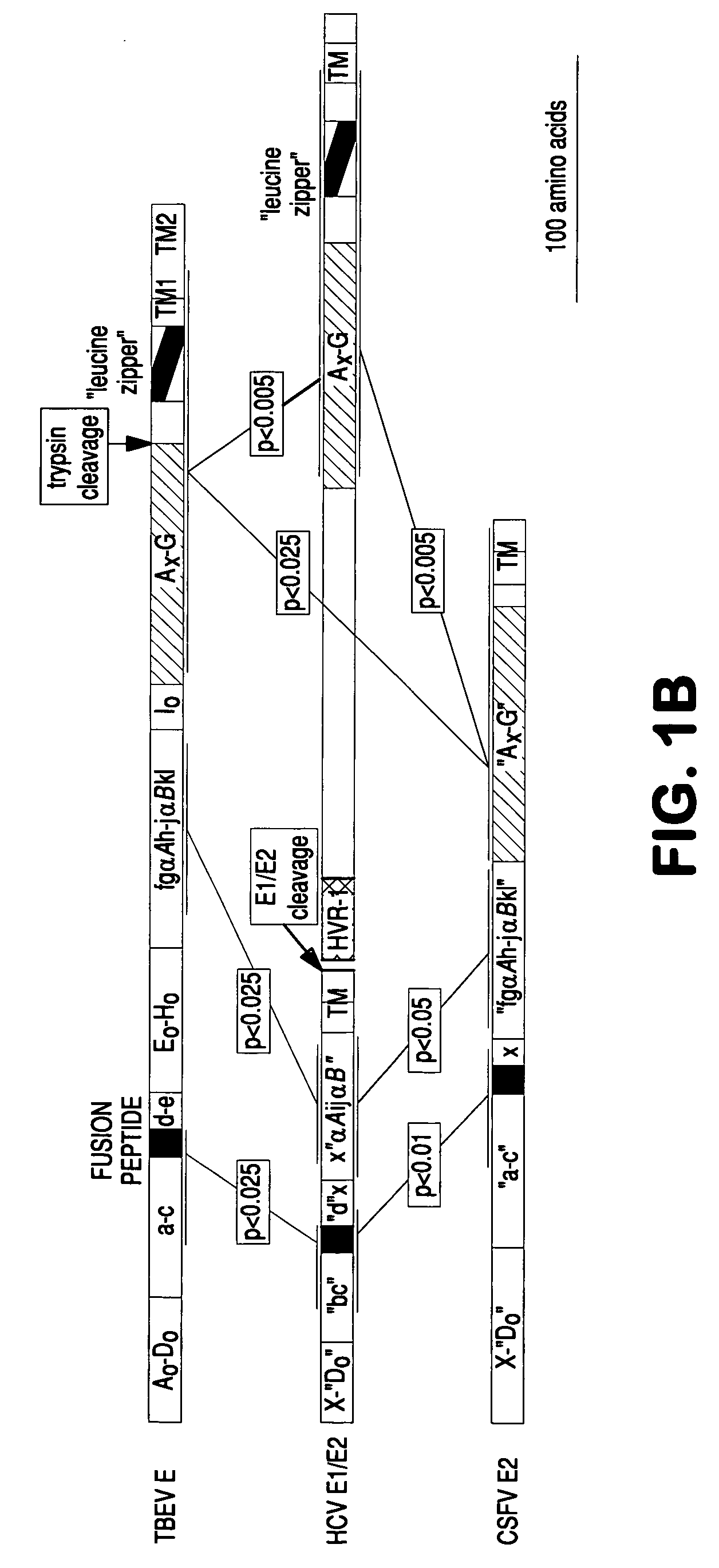 Flavivirus fusion inhibitors