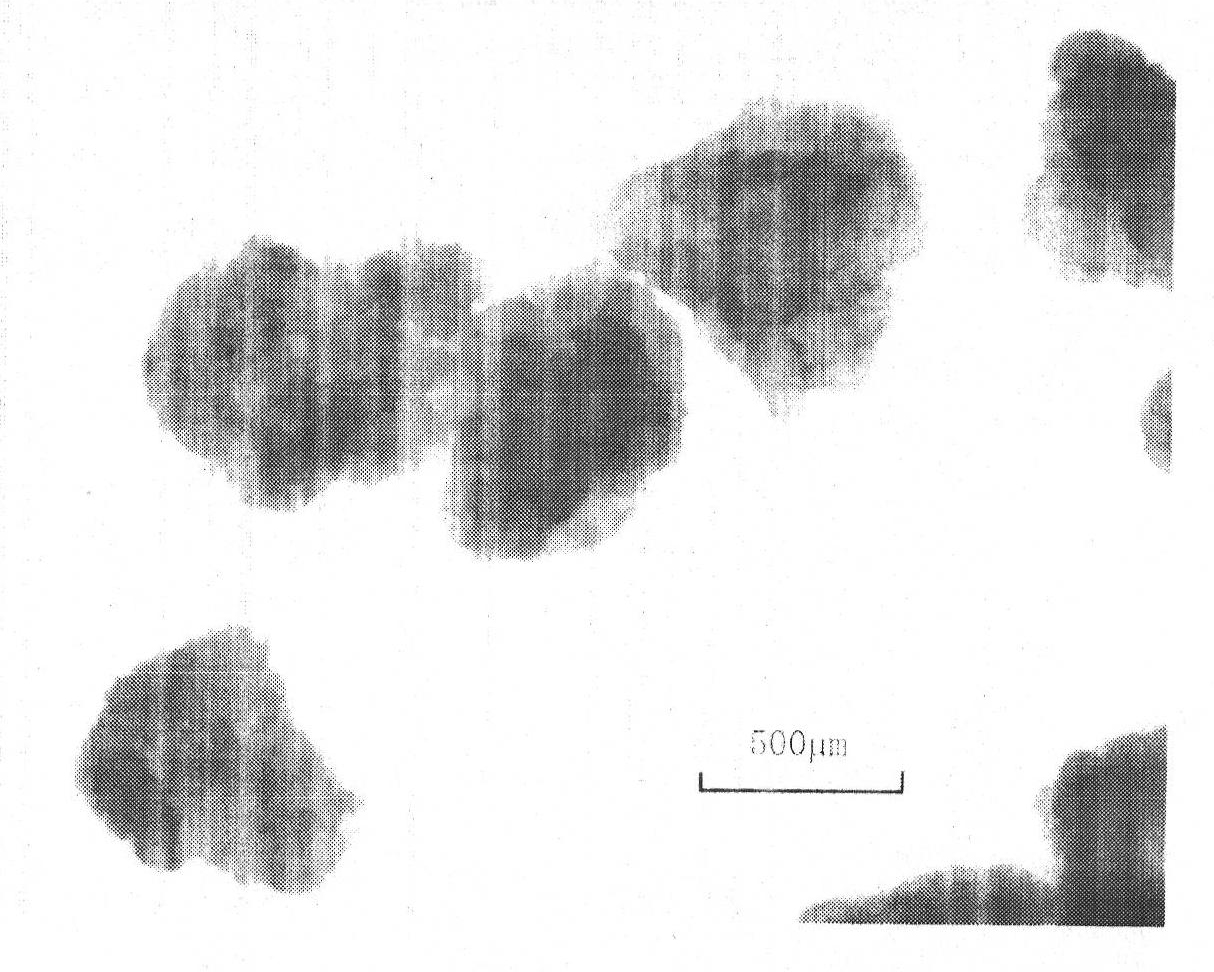 Brucea javanica oil enteric-coated microcapsule, preparation method and application thereof