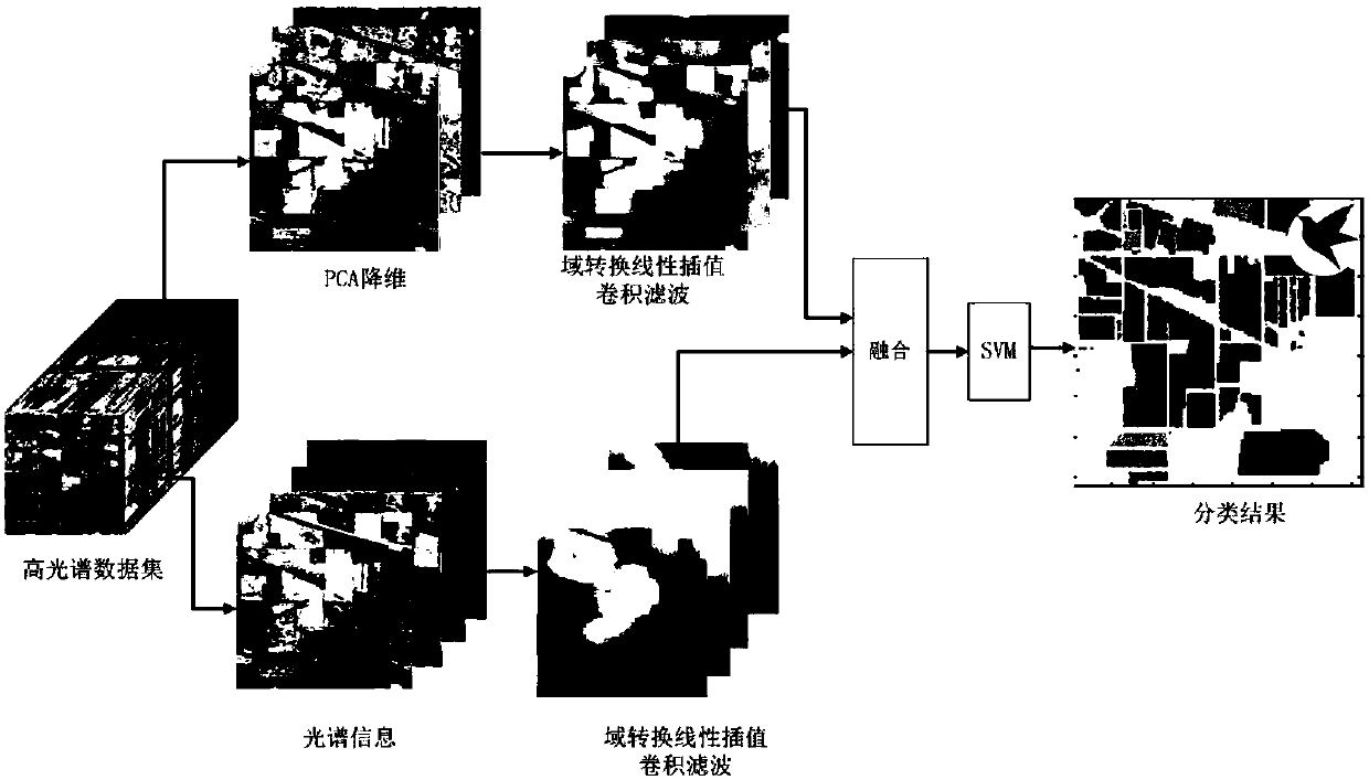 Hyperspectral image vegetation classification method based on spatial auto-correlation information
