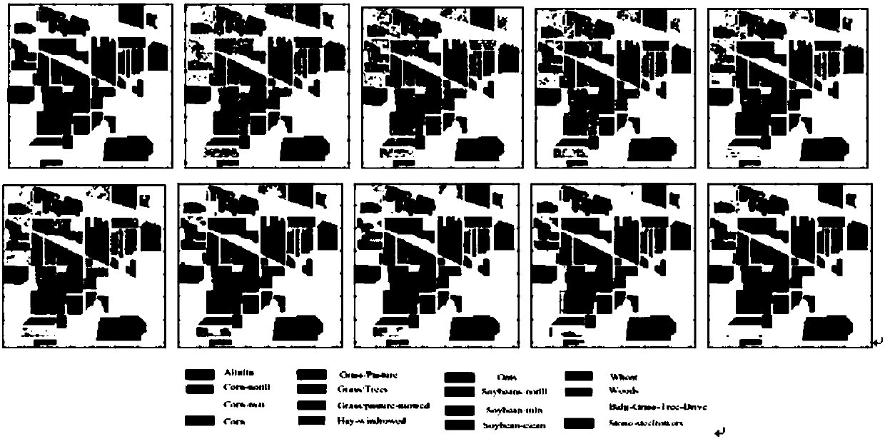 Hyperspectral image vegetation classification method based on spatial auto-correlation information