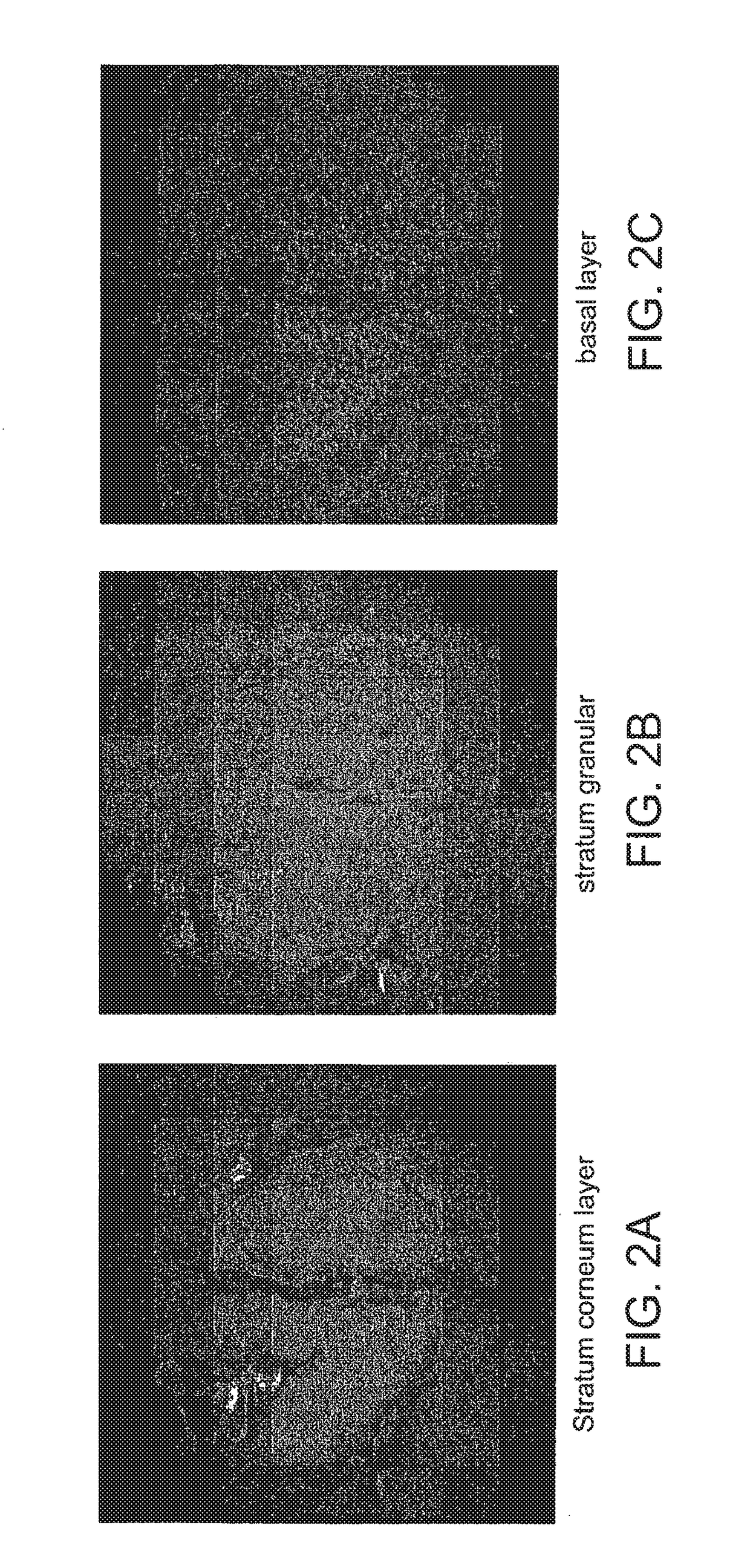 Multifocal imaging systems and method
