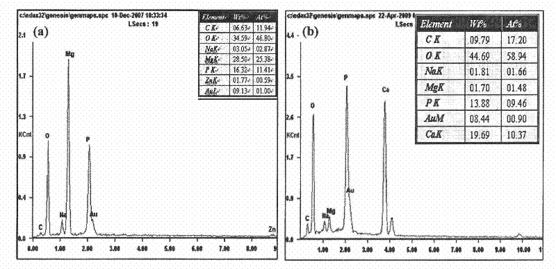 Micro-arc oxidation-electrodeposition preparation method of magnesium-based bioactive coating