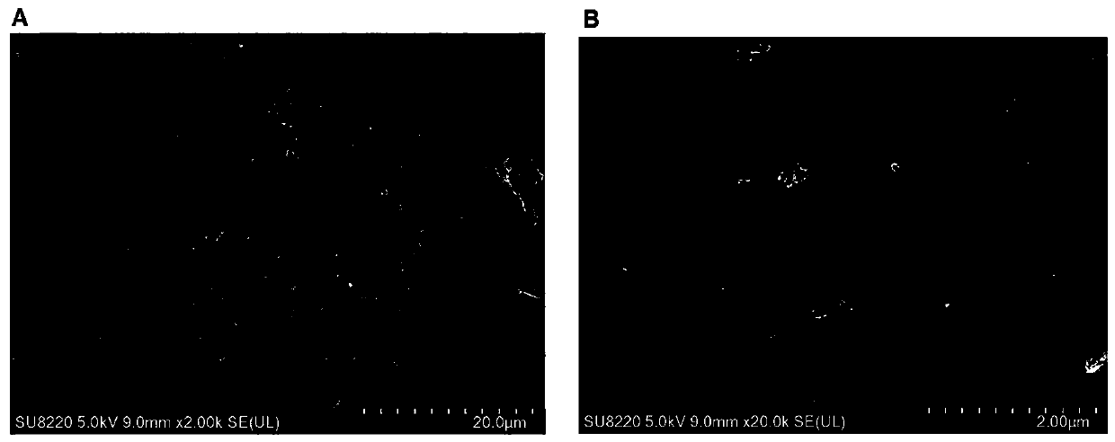 Method for improving Baijiu quality by carbon-based solid acid