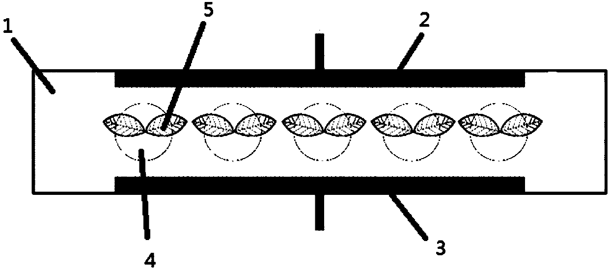 Leafy-vegetable growth rate promoting device based on high-voltage pulsed electric field