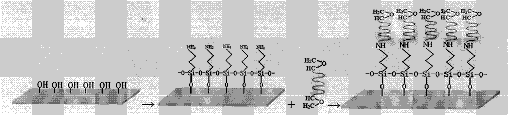 Method for preparing double-epoxy modified biochip substrate