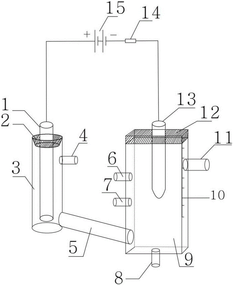 Liquid discharge micro-plasma excitation source apparatus and plasma excitation method