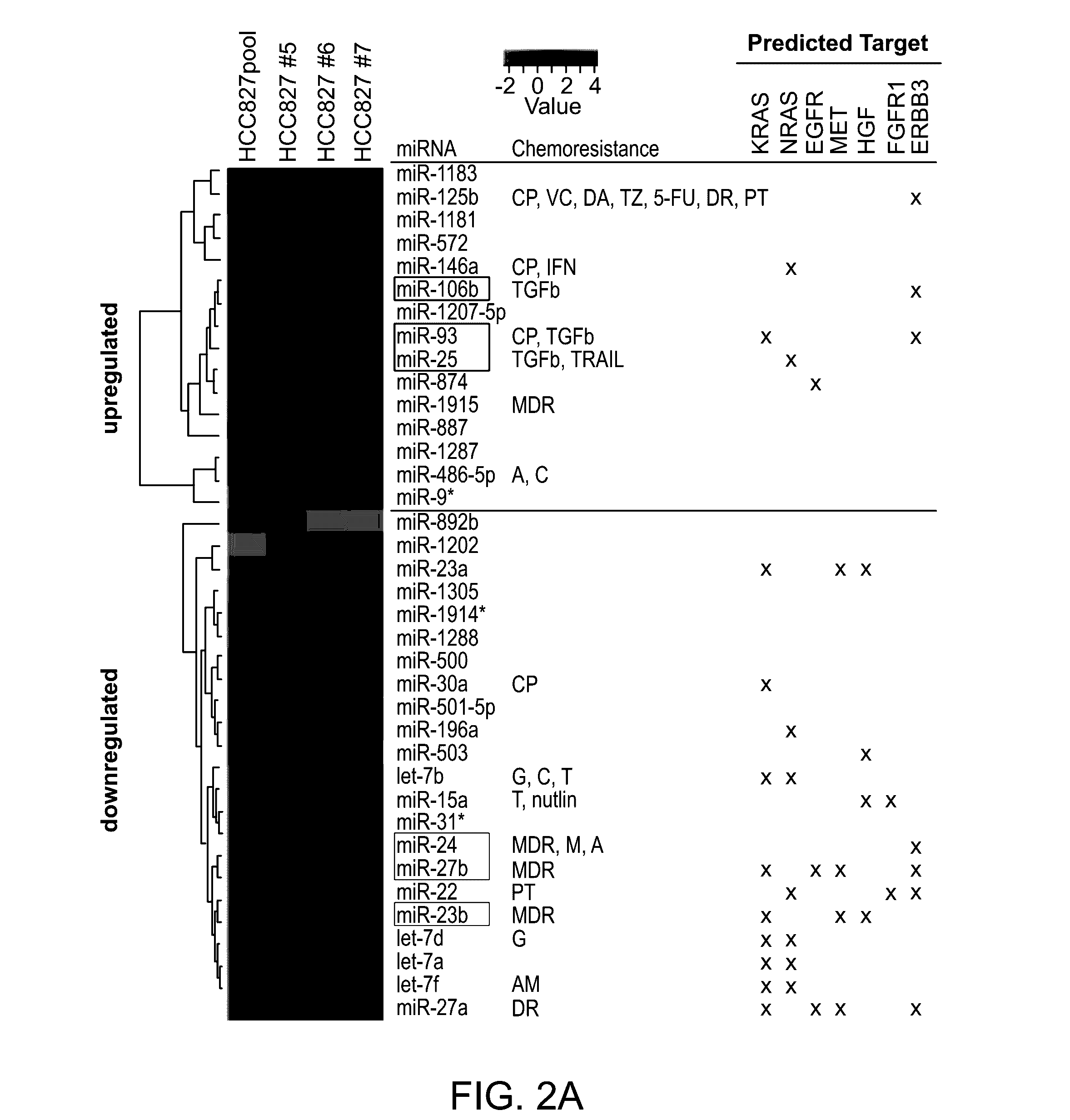 Combination cancer treatments utilizing synthetic oligonucleotides and egfr-tki inhibitors