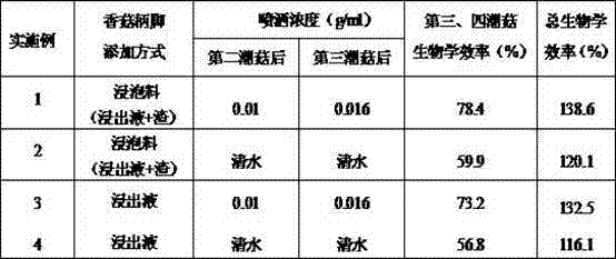 Pleurotus geesteranus cultivation method