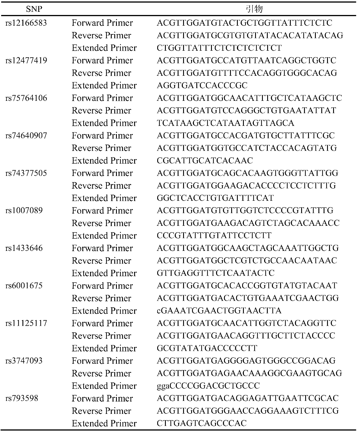Cancer-testis genetic marker related to primary lung cancer auxiliary diagnosis and application thereof