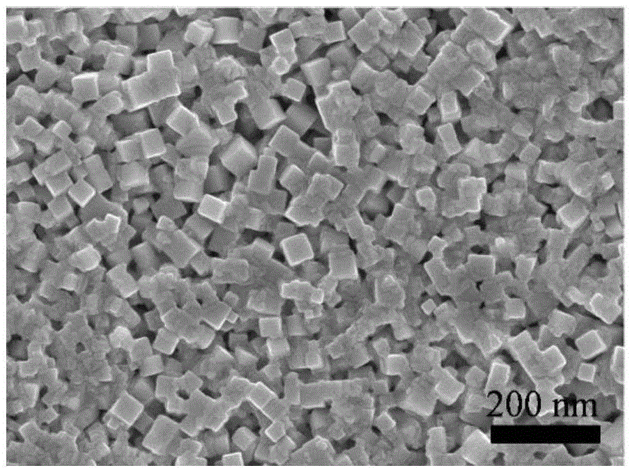 Method for directly synthesizing lead sulfide cube nano particle film