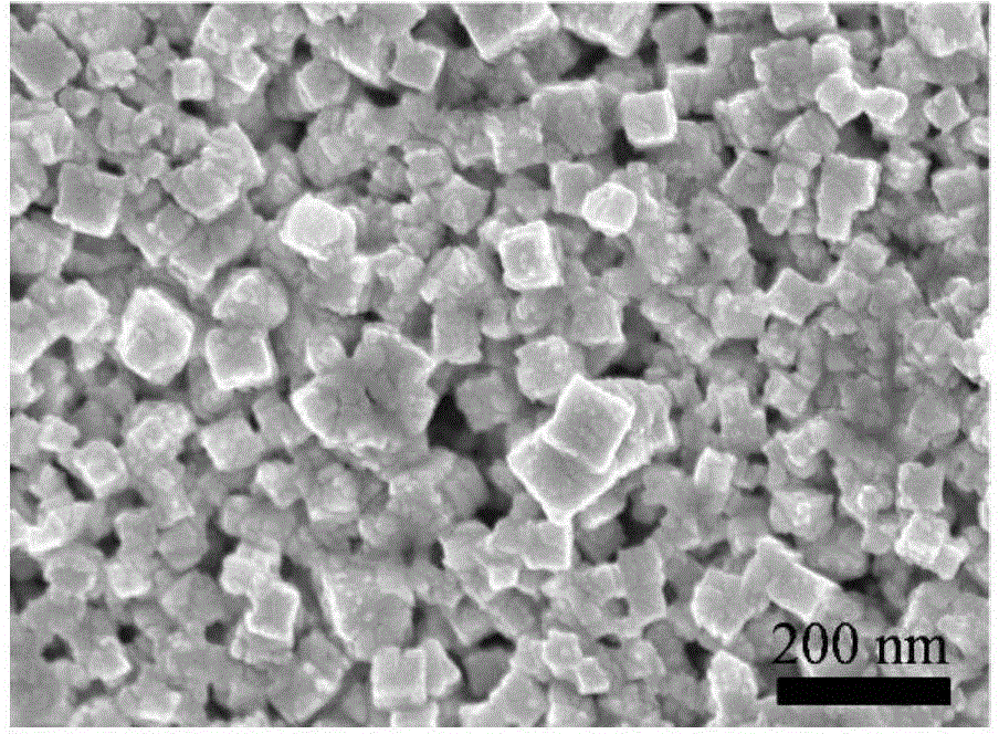 Method for directly synthesizing lead sulfide cube nano particle film