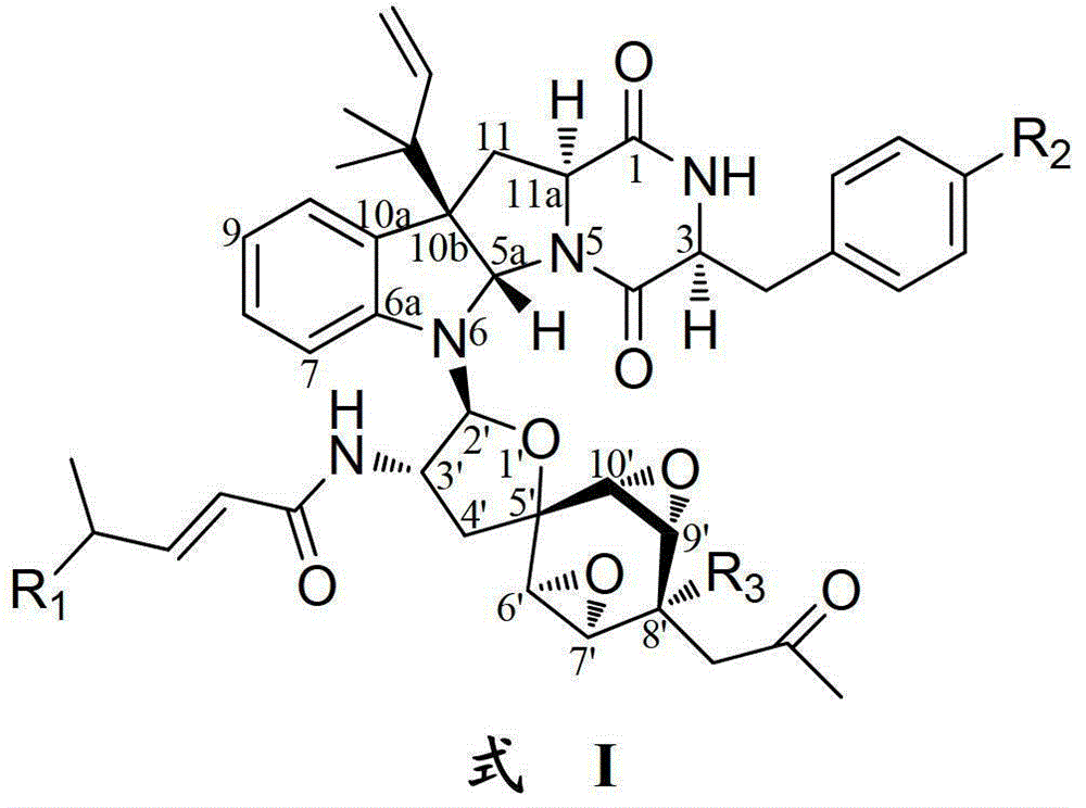 Indoline diketopiperazine spiro compound and its preparation method and use
