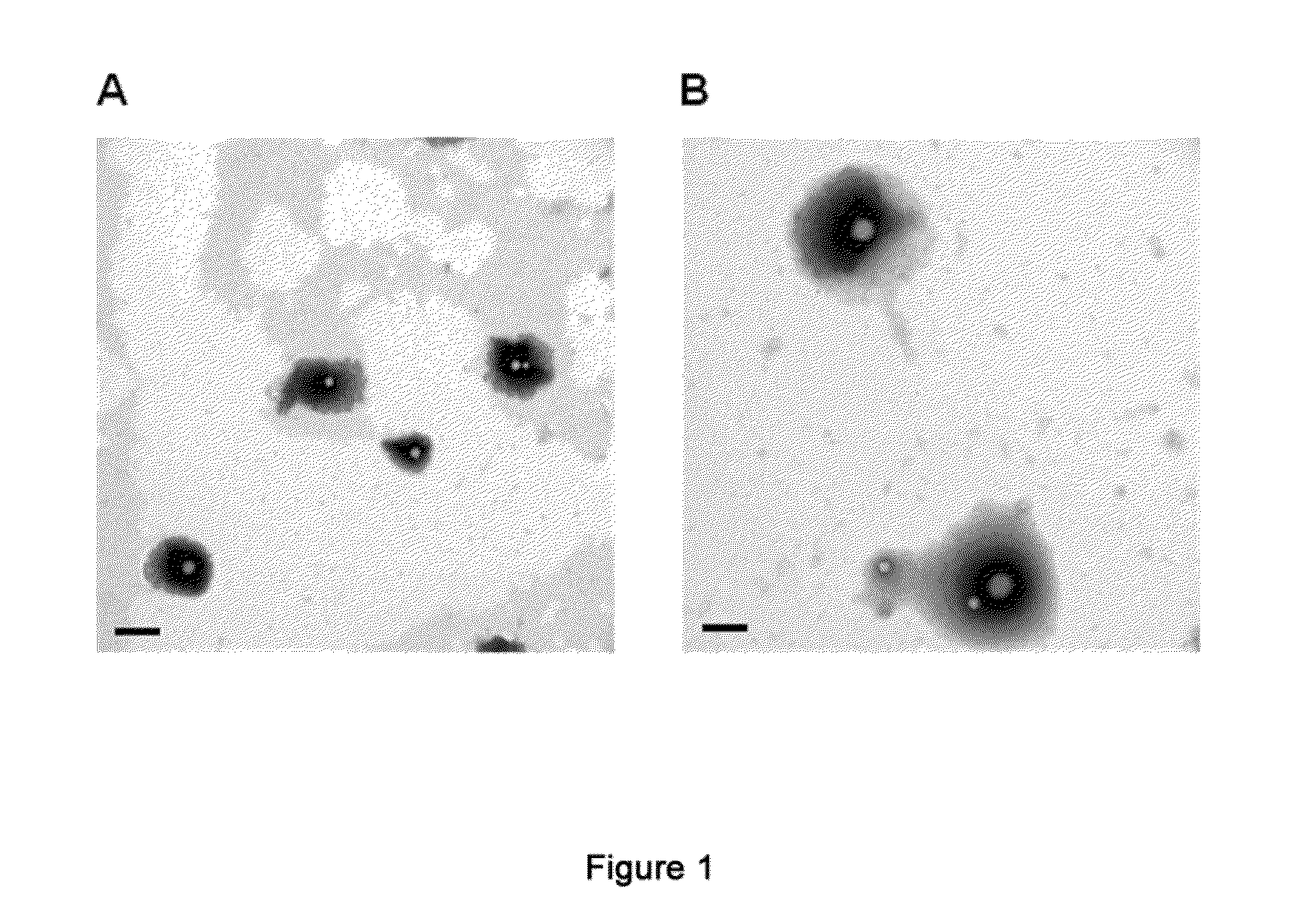Nanoparticles for encapsulation of compounds, the production and uses thereof