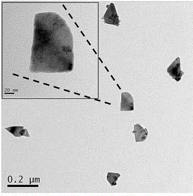 Tin selenide nano material, preparation method and application thereof