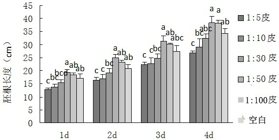 An inhibitor of the growth of Chinese fir based on the extract of Castanopsis grisina litter