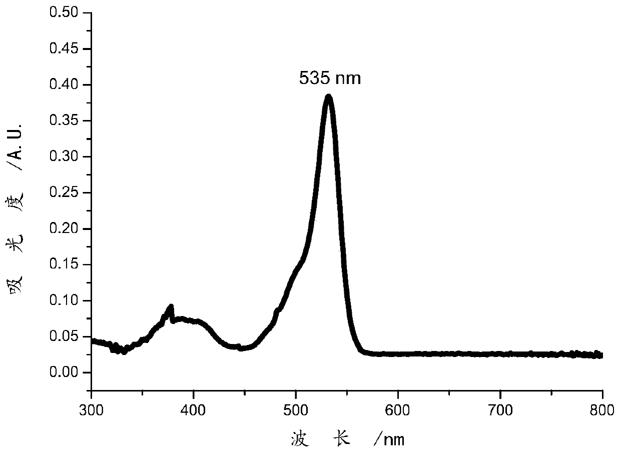 Photosensitizer probe as well as preparation method and application thereof