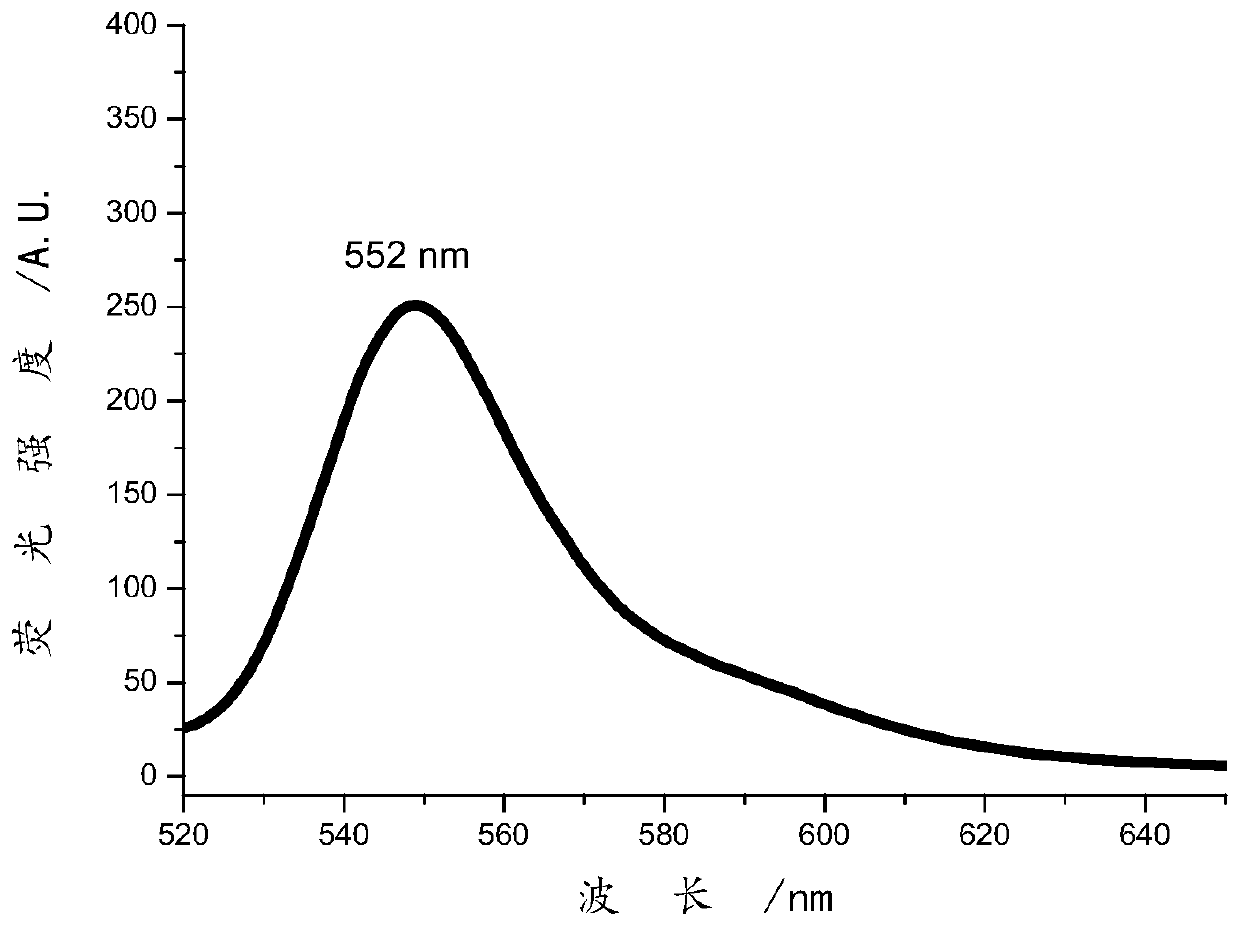 Photosensitizer probe as well as preparation method and application thereof