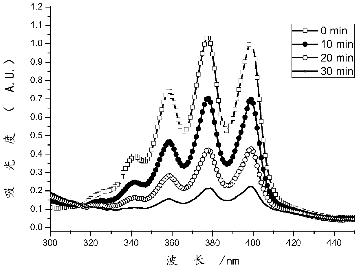 Photosensitizer probe as well as preparation method and application thereof