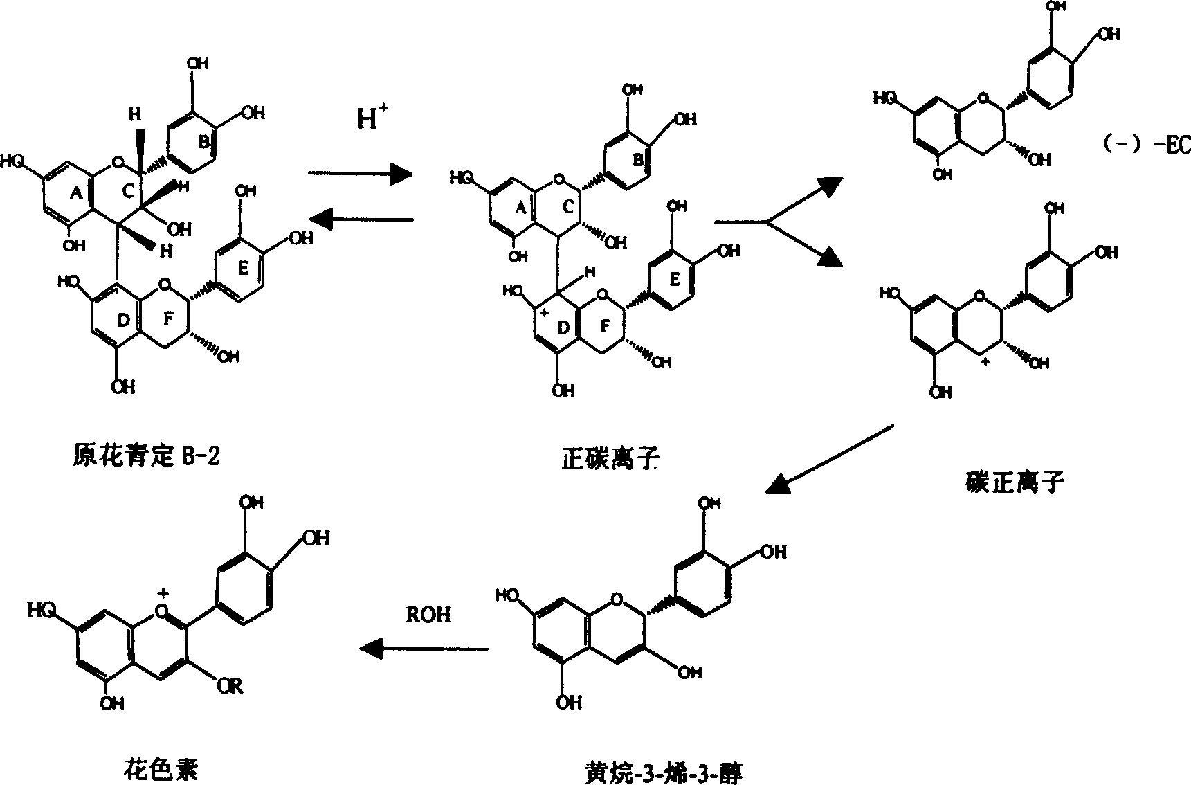 Extraction and separation of proto flower haematochrome and preparation method of its derivatives