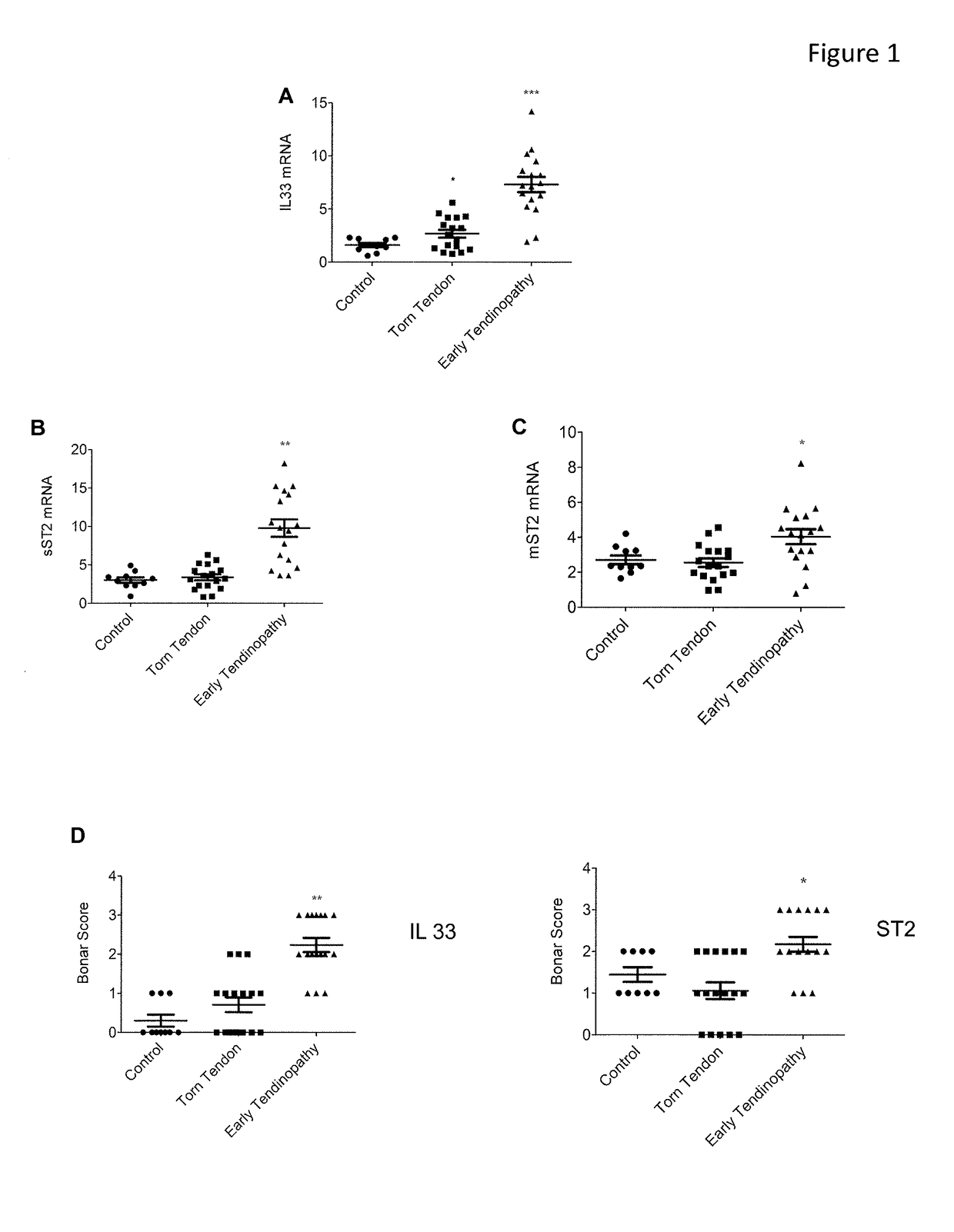 Materials and Methods for Modulation of Tendon Healing