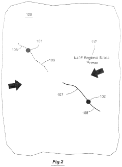 System for predicting induced seismicity potential resulting from injection of fluids in naturally fractured reservoirs