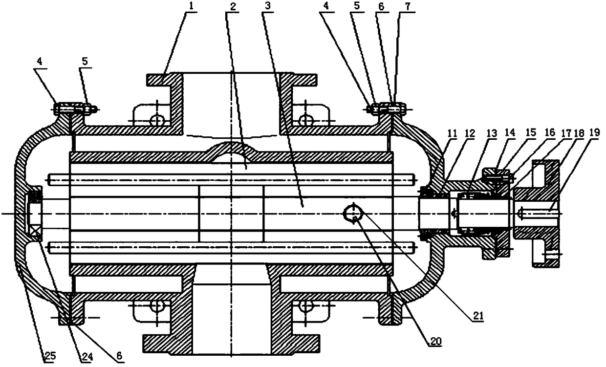 Carbon dioxide gas compressor screw rod oil pump capable of removing excess gas automatically