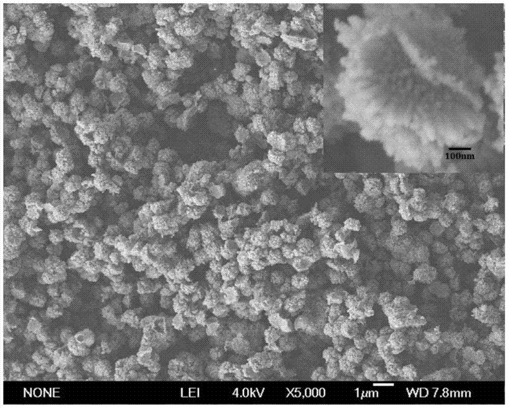Hierarchical titanium dioxide microspheres based on surface oriented growth nano-rods and preparation method thereof
