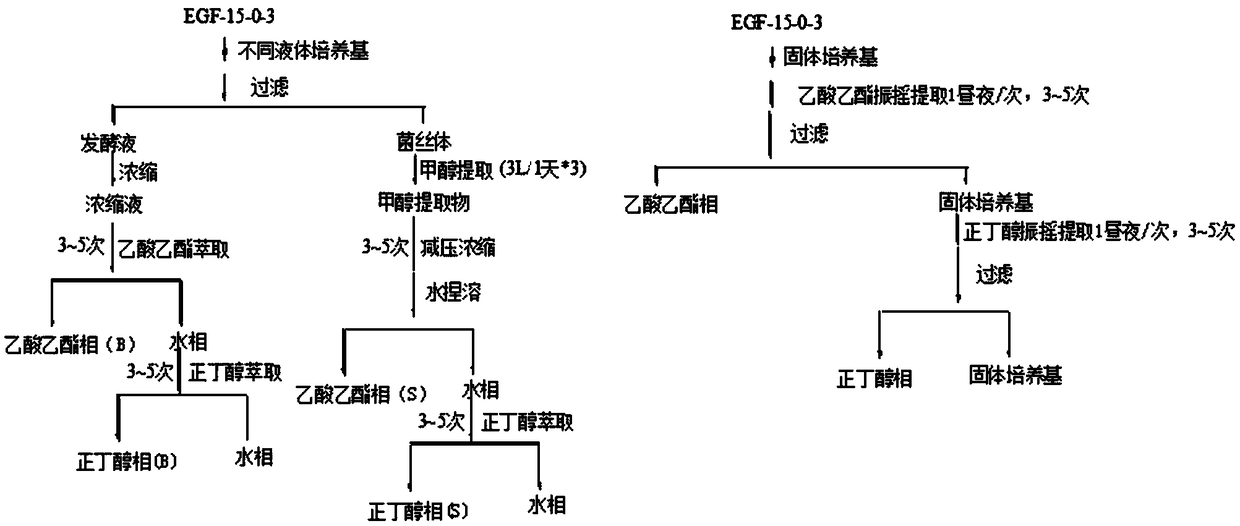 Microbial preparation method of suberogorgin