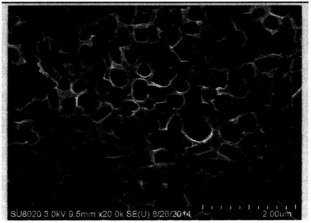 A kind of hemostatic patch and preparation method thereof