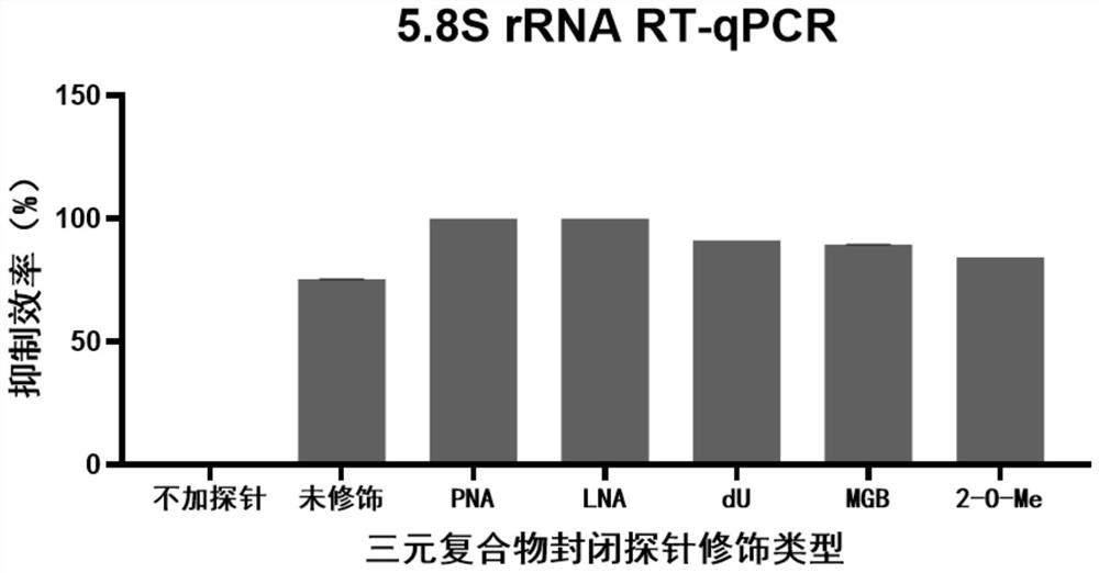 Probe for closing ribosome RNA or globulin RNA in RNA library building process and application thereof