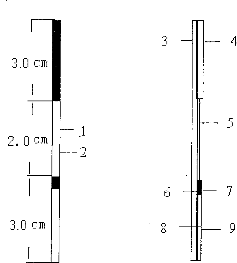 Reagent strip for rapidly detecting colloidal gold for 2,4-D residual
