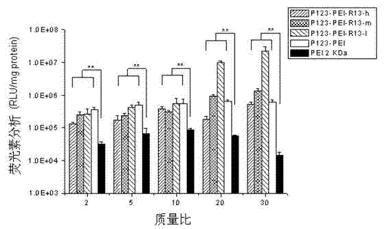 Gene vector modified by bifunctional peptide and preparation method thereof